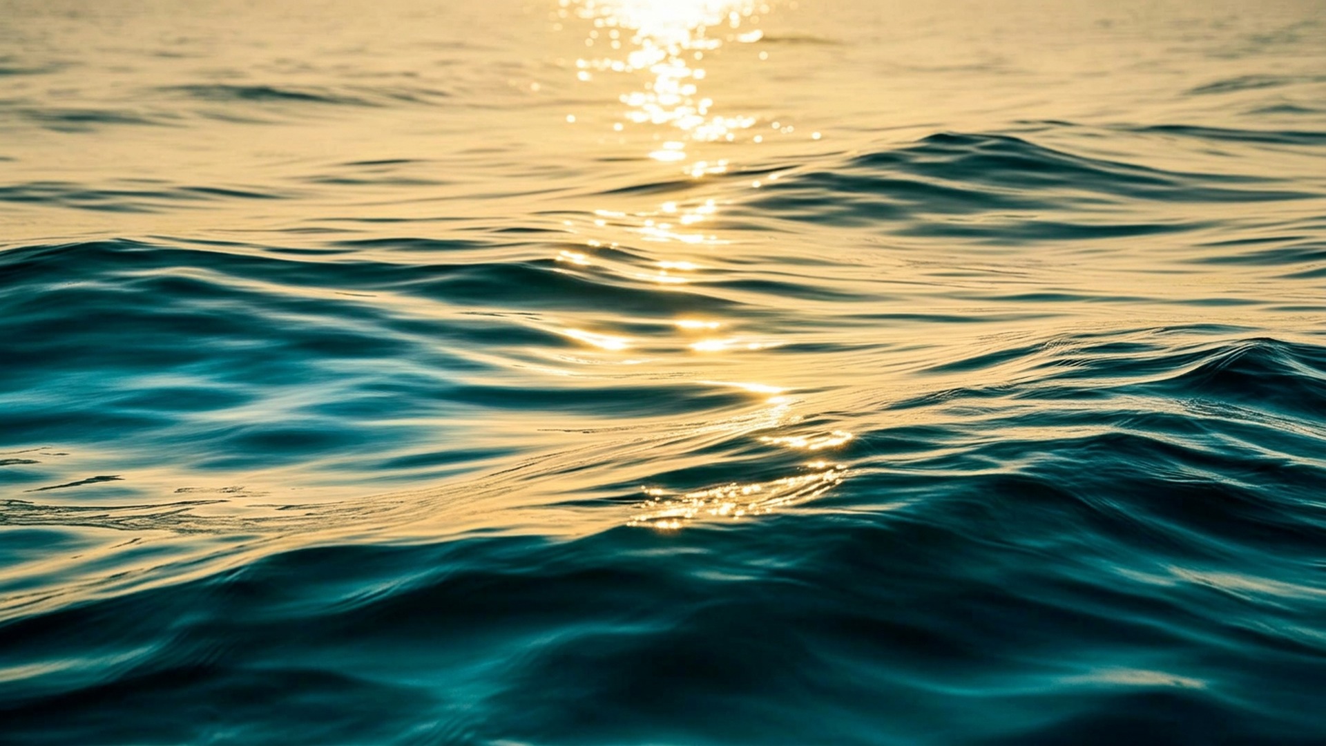 Sunlight reflecting on calm ocean waves