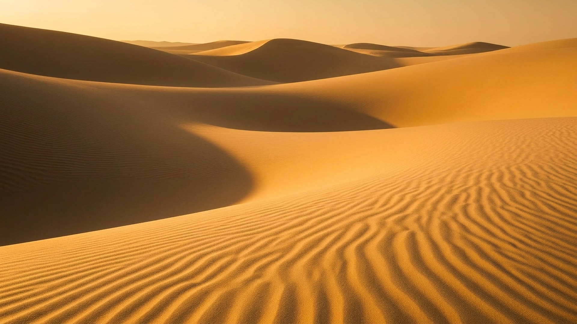 Soft rippling sand dunes at golden hour